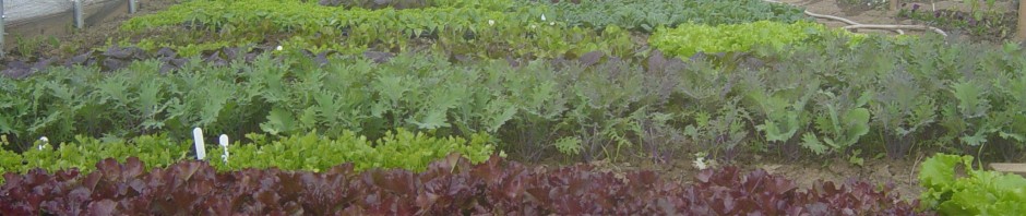 Dsc00062